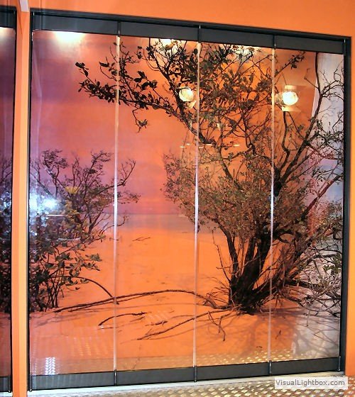 room divider in glass